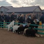 A healthy body, a healthy mind