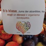 Miķeļa Vitamīnu Grozs