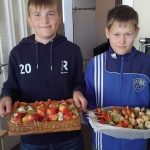 Miķeļa Vitamīnu Grozs