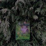 „Z książką mi do twarzy” 