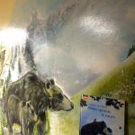 „Z książką mi do twarzy” 