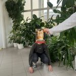 „Z książką mi do twarzy” 