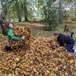 Glābt no aizmirstības — poļu kapu sakopšana