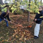 Glābt no aizmirstības — poļu kapu sakopšana
