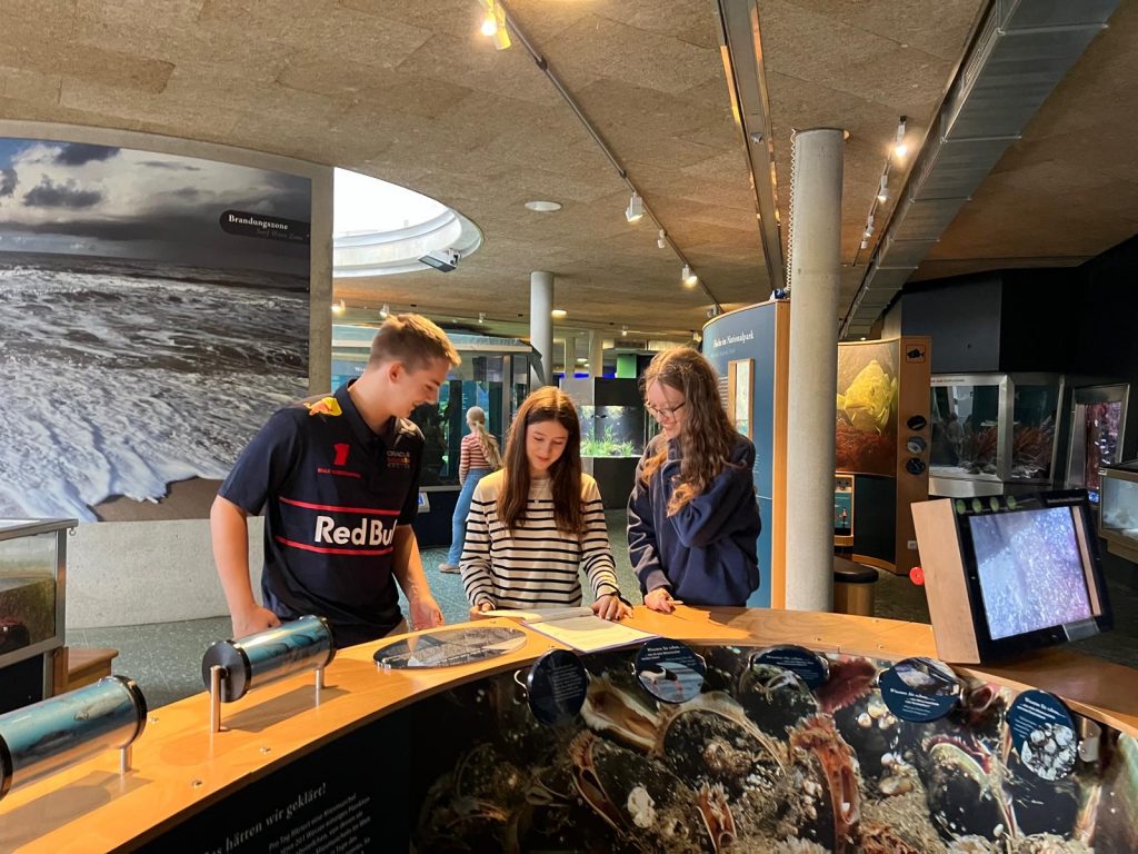 0ded00aa-08a0-4903-9dcb-824cf8e4b713