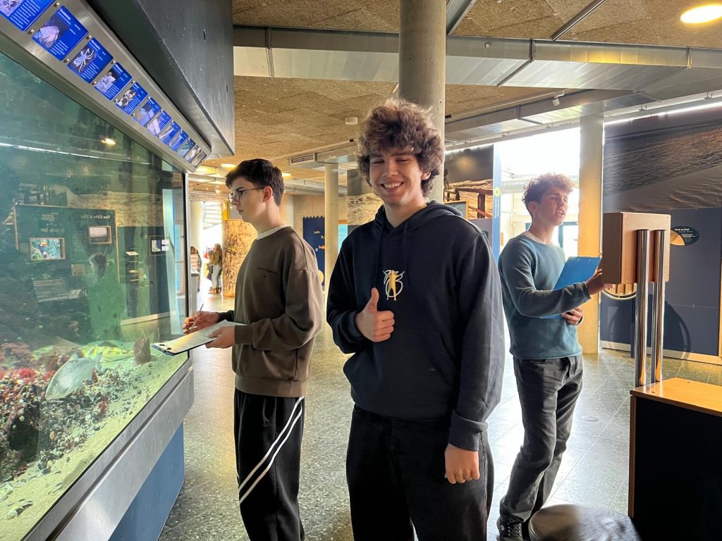 92890cbf-b02d-445c-8f0b-117f8471a123