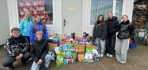 Aktivitātes Labo darbu nedēļā