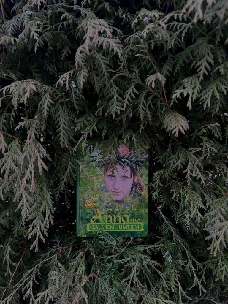 Visnakovs1 2026-01-06 09_33_24.jpg