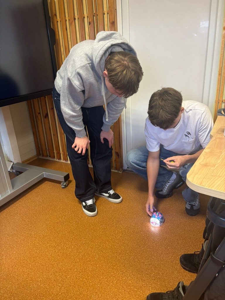 WhatsApp Image 2026-02-02 at 09.11.46