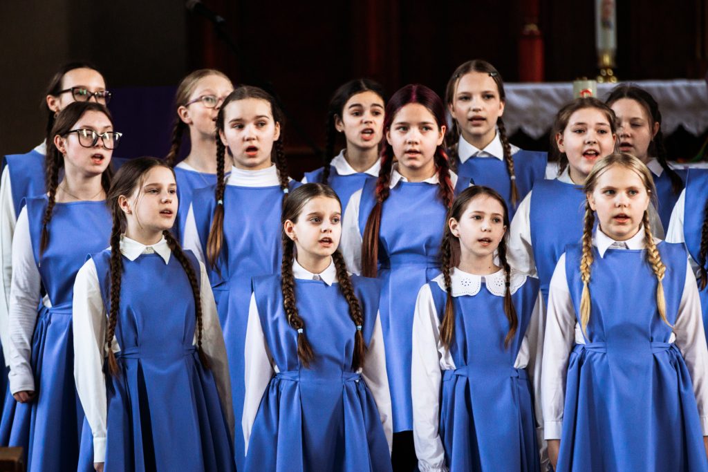 55179220395_cf36c815d2_6k