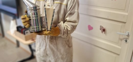 Dabaszinību nedēļa RVPĢ