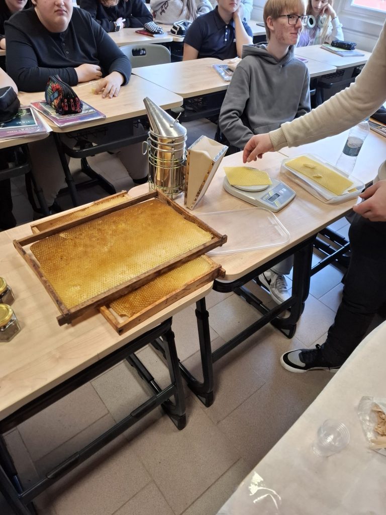 WhatsApp Image 2026-04-01 at 11.12.23