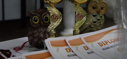 Ģimnāzijas lepnums 2026