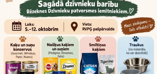 Labo darbu nedēlā